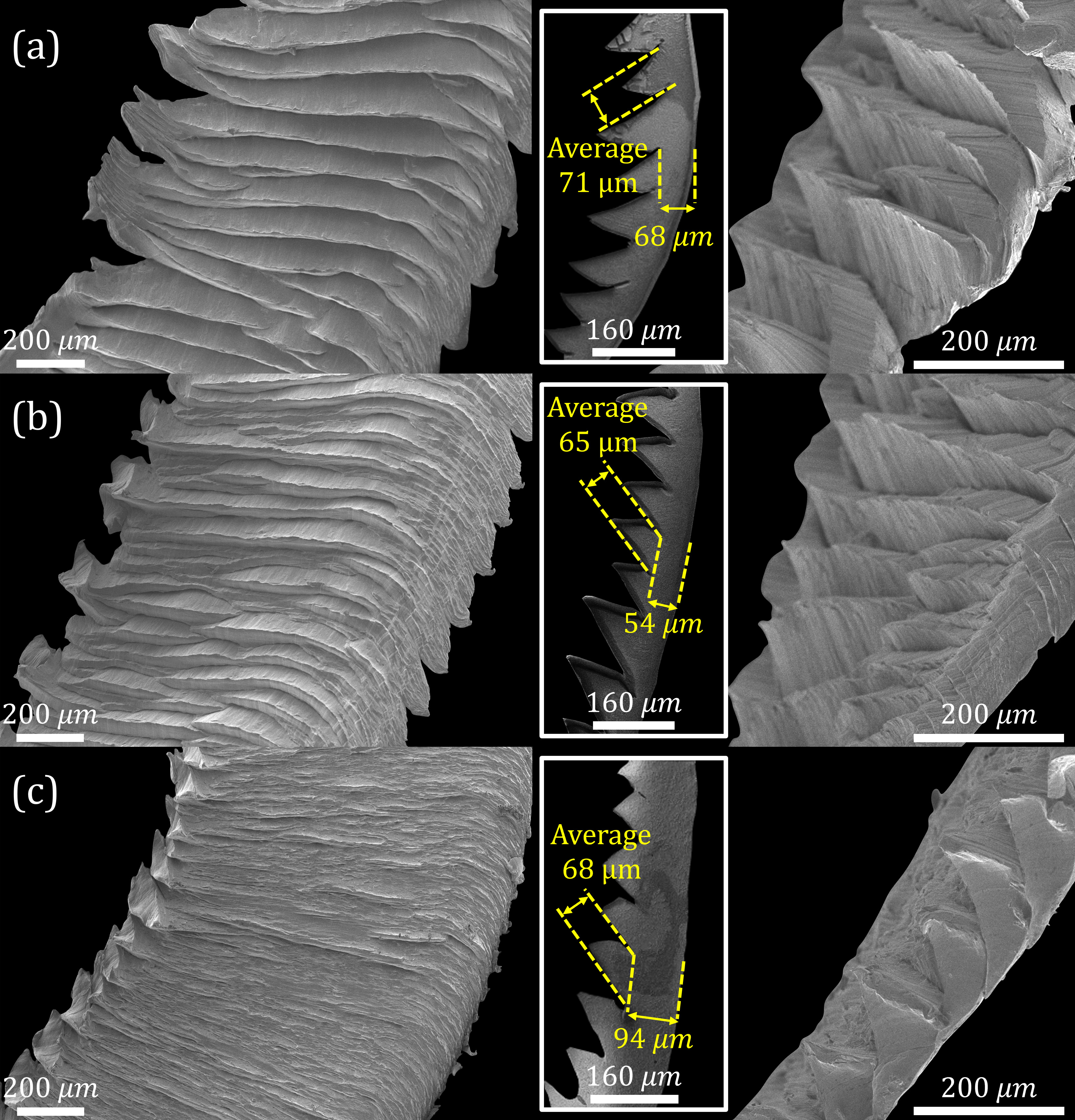 SEM images of chip produced by machining at feed and speed of 0.13 mm/tooth and 50 m/min on (a) vertically
        printed, (b) horizontally printed, and (c) wrought block.